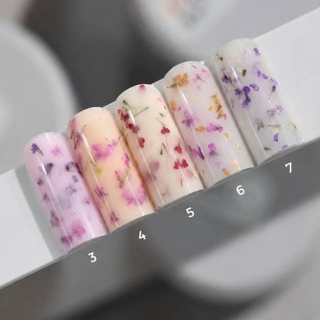 Saga Liquid Floral Gel №3 Milky Brombeere mit getrockneten Blumen 15ml